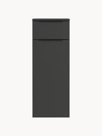 Armoire centrale de salle de bains Crandon, larg. 36 cm, Anthracite, larg. 36 x haut. 93 cm