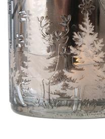 Windlichtenset Skage, 2-delig, Gelakt glas, Zilverkleurig, grijs, glanzend, Ø 7 cm