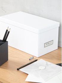 Aufbewahrungsbox Silvia, 2 Stück, Box: fester, laminierter Karto, Weiß, B 17 x H 15 cm