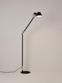 Leselampe Tolomeo Lettura, Lampenschirm: Aluminium, Stahl, beschic, Gestell: Aluminium, Stahl, beschic, Schwarz, H 167 cm