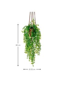 Planta artificial Ficus, Poliéster, Látex, Polipropileno, Alambre de metal, Verde, Ø 20 x Al 80 cm