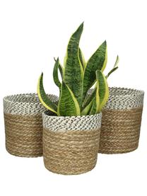 Plantenpot Sola van zeegras, 3 stuks, Zeegras, Zeegras, wit, zwart, Set met verschillende formaten