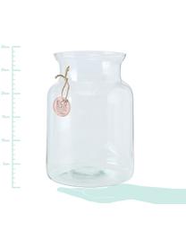 Vase transparent Eco, Transparent