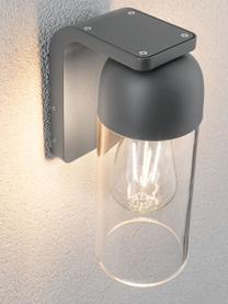 Outdoor wandlamp Lantea met glazen lampenkap, Lampenkap: glas, Fitting: gecoat aluminium, Transparant, grijs, B 9 x H 24 cm
