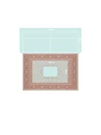 In- & Outdoor-Teppich Anjara im Vintage Style, 100% Polypropylen, Terrakottarot, Beige, B 200 x L 290 cm (Größe L)