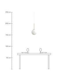 Lampada sferica piccola a sospensione Fauna, Baldacchino: metallo rivestito, Bianco marmorizzato, dorato, Ø 25 x Alt. 55 cm