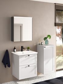 Mueble bajo lavabo Rafaella, Gris claro, An 60 x Al 67 cm