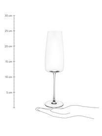 Champagneglazen Moinet, 6 stuks, Kristalglas, Transparant, Ø 7 x H 25 cm, 340 ml