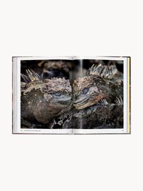 Livre photo Steve McCurry. Animals, Papier, couverture rigide, Steve McCurry. Animals, larg. 14 x haut. 20 cm