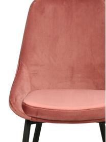 Fluwelen stoelen Sierra in roze, 2 stuks, Bekleding: polyester fluweel, Poten: gelakt metaal, Fluweel roze, B 49 x D 55 cm