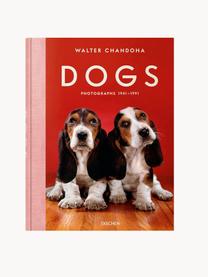 Livre photo Dogs. Photographs 1941–1991, Papier, couverture rigide, Dogs. Photographs 1941–1991, larg. 24 x haut. 32 cm