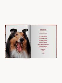 Ilustrovaná kniha Dogs. Photographs 1941–1991, Papír, pevná vazba, Dogs. Photographs 1941–1991, Š 24 cm, V 32 cm