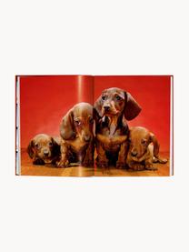 Libro illustrato Dogs. Fotografie 1941–1991, Carta, cornice rigida, Dogs. Photographs 1941–1991, Ø 24 x Alt. 32 cm