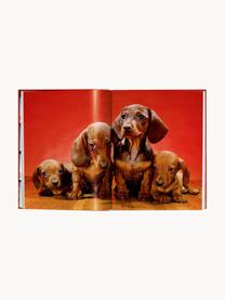 Livre photo Dogs. Photographs 1941–1991, Papier, couverture rigide, Dogs. Photographs 1941–1991, larg. 24 x haut. 32 cm