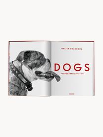 Geïllustreerd boek Dogs Photographs 1941–1991, Papier, hardcover, Dogs Photographs 1941–1991, B 24 x H 32 cm