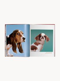 Geïllustreerd boek Dogs Photographs 1941–1991, Papier, hardcover, Dogs Photographs 1941–1991, B 24 x H 32 cm