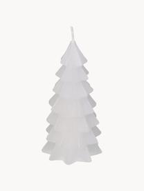 Velas decorativas Tree, 2 uds., Cera, Blanco, Ø 7 x Al 13 cm