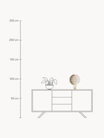 Lampada a LED per cameretta dei bambini fatta a mano con funzione timer e telecomando Hot Air Baloon, luce regolabile, Legno di pino laccato

Questo prodotto è realizzato con legno di provenienza sostenibile e certificato FSC®., Tortora, beige chiaro, bianco, Larg. 28 x Alt. 39 cm