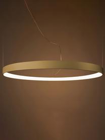 Ručne vyrobené závesné LED svietidlo Tim, Odtiene matnej zlatej, Ø 55 cm