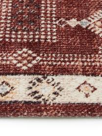 Tappeto in cotone con frange Tanger, 100% cotone, Terracotta, color crema, Larg. 60 x Lung. 90 cm (taglia XXS)