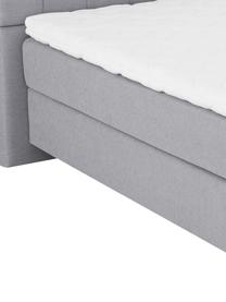 Letto boxspring premium Pheobe, Materasso: a molle insacchettate a 7, Piedini: legno di faggio massiccio, Grigio, 200 x 200