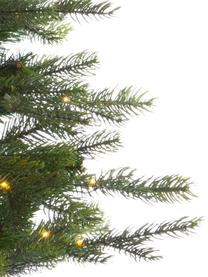 Decoratieve LED kerstboom Grandis H 90 cm, Kunststof, Groen, Ø 63 x H 90 cm