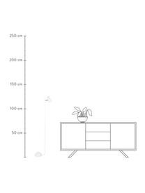 Lampada da terra bianca Swan, Paralume: metallo rivestito, Base della lampada: metallo rivestito, Decorazione: metallo, Bianco, ottonato, Larg. 33 x Alt. 126 cm