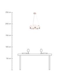 Lámpara de techo LED Torino, estilo moderno, Pantalla: acrílico, metal recubiert, Anclaje: metal recubierto, Blanco, transparente, Ø 46 x Al 50 cm