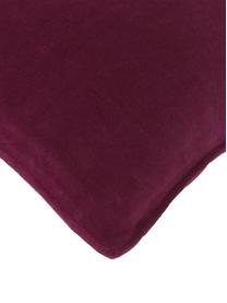 Funda de cojín de terciopelo Dana, 100% terciopelo de algodón, Rojo vino, An 30 x L 50 cm