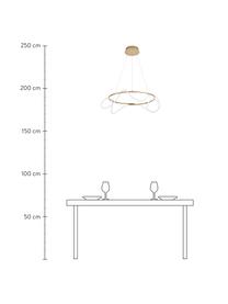 Lámpara de techo grande LED Tiriac, Pantalla: acrílico, Estructura: aluminio recubierto, Anclaje: aluminio recubierto, Blanco, dorado, Ø 70 x Al 120 cm