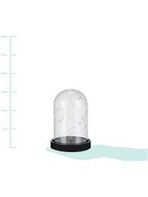 LED lichtobject Kupol, Voetstuk: kunststof, Lampenkap: glas, Zwart, transparant, Ø 11 x H 16 cm