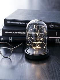 LED-Leuchtobjekt Kupol, Sockel: Kunststoff, Lampenschirm: Glas, Schwarz,Transparent, Ø 11 x H 16 cm