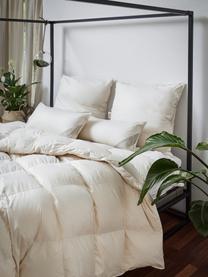 Poduszka z organicznego puchu i bawełny Comfort, miękka, Tapicerka: 100% bawełna organiczna P, Miękka, S 40 x D 80 cm