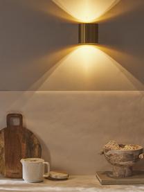 Grote hanglamp Linja, Gepoedercoat ijzer, Glanzend goudkleurig, B 10 x H 10 cm
