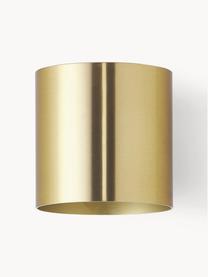 Grote hanglamp Linja, Gepoedercoat ijzer, Glanzend goudkleurig, B 10 x H 10 cm