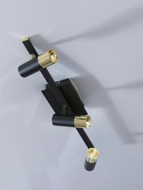 LED plafondspot Bobby-goudkleurig, Baldakijn: gepoedercoat metaal, Zwart, goudkleurig, B 58 x H 18 cm