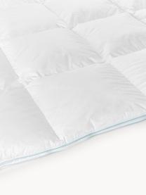 Couette pur duvet Premium, extra chaude, Extra chaude, larg. 200 x long. 200 cm