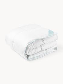 Couette pur duvet Premium, extra chaude, Extra chaude, larg. 200 x long. 200 cm