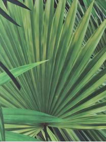 Papier peint Palm Leaves, Intissé, écologique et biodégradable, Vert, larg. 98 x long. 280 cm