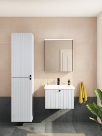 Mueble bajo lavabo Emil, 60 cm, Gris claro, An 60 x Al 42 cm