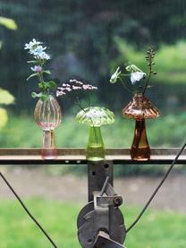 Vases en verre Mushroom, 5 pièces, Verre, Multicolore, Lot de différentes tailles