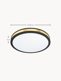 Kleine LED plafondlamp Pescaito, Lampenkap: gelakt metaal, Diffuser: kunststof, Zwart, goudkleurig, Ø 28 x H 7 cm