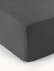 Boxspring-Spannbettlaken Biba, Flanell, Webart: Flanell Flanell ist ein k, Anthrazit, B 200 x L 200 cm, H 35 cm