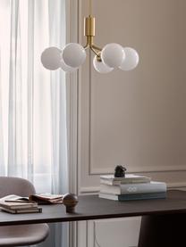 Hanglamp met glazen bollen Apiales, Goudkleurig, wit, Ø 50 x H 26 cm