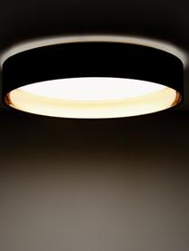 Plafonnier LED Mallory, Noir, doré, Ø 41 x haut. 10 cm