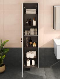 Mueble de baño alto Emil, Gris claro, An 40 x Al 180 cm