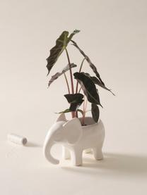 Kleine plantenpot Babs van keramiek, Keramiek, Wit, B 16 cm x H 12 cm