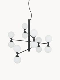 Große Pendelleuchte Grover mit Glaskugeln, Baldachin: Metall, pulverbeschichtet, Weiß, Schwarz, Ø 70 x H 56 cm