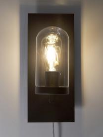 Wandleuchte James mit Stecker, Lampenschirm: Glas, Gestell: Messing, lackiert, Schwarz, 15 x 35 cm