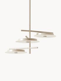 Suspension LED Maxine, Beige, larg. 51 x prof. 51 cm